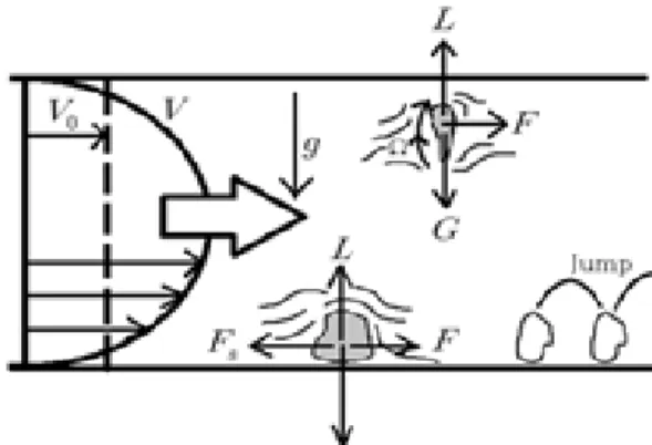 Fig.  3.  Trajectory  of  particles  in  turbulent  flow  of  air