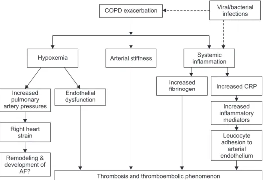 Figure 2. Plausible mechanisms to ex- ex-plain the increased risk of adverse  car-diac events with acute exacerbations of  chronic obstructive pulmonary disease  episodes