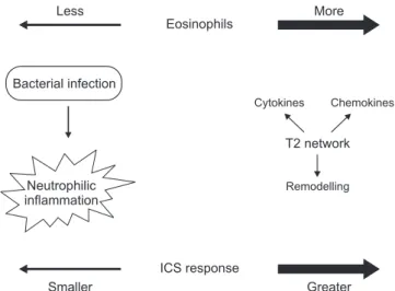 Figure 3. Relationships between eosinophilic inflammation, micro- micro-biome and inhaled corticosteroid (ICS) response.