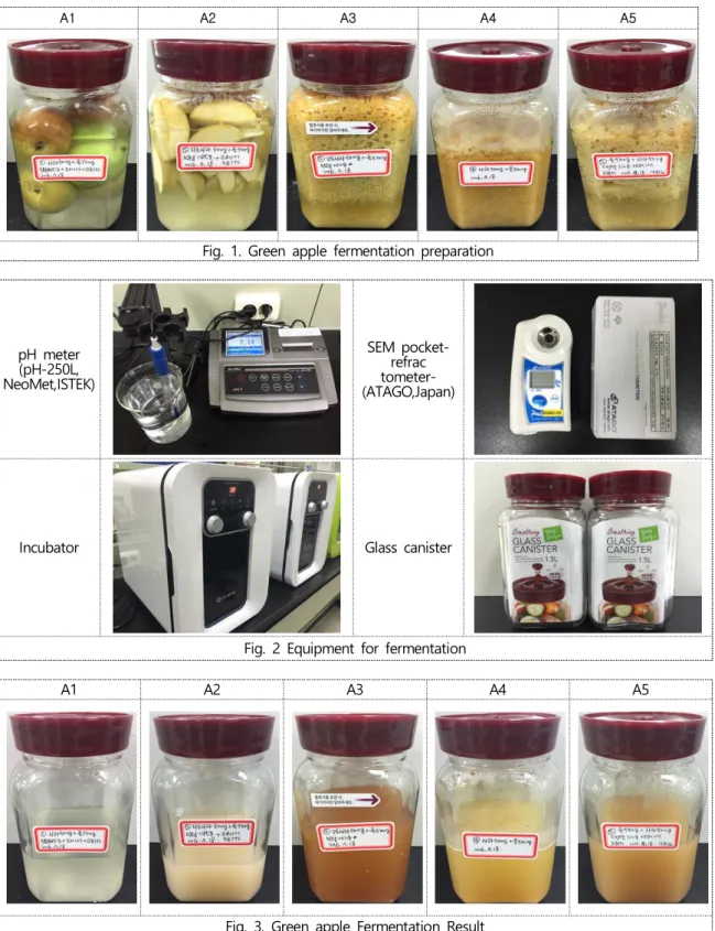 Fig.  1.  Green  apple  fermentation  preparation