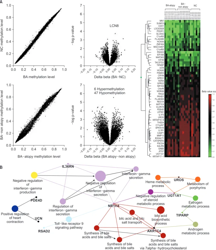 Figure 3. Differential methylation of CpG sites in bronchial mucosa between Dermatophilosis’s  species-specific IgE positive atopic and non- non-atopic asthmatics (A), a network analysis of 54 differentially methylated genes (B)