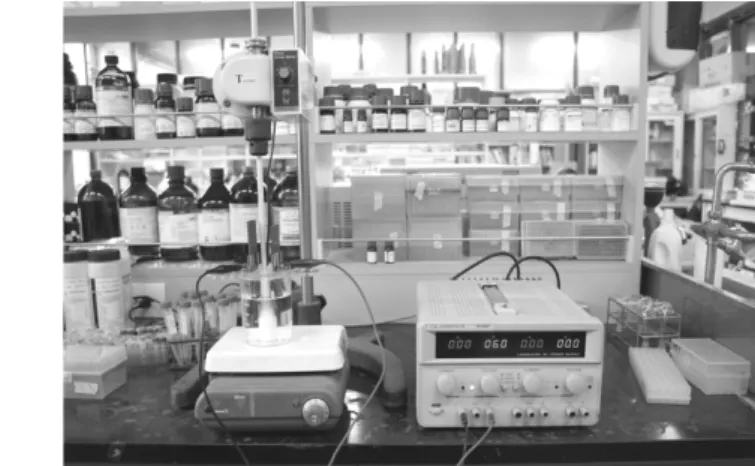 Fig. 1.  Electrolysis  system.