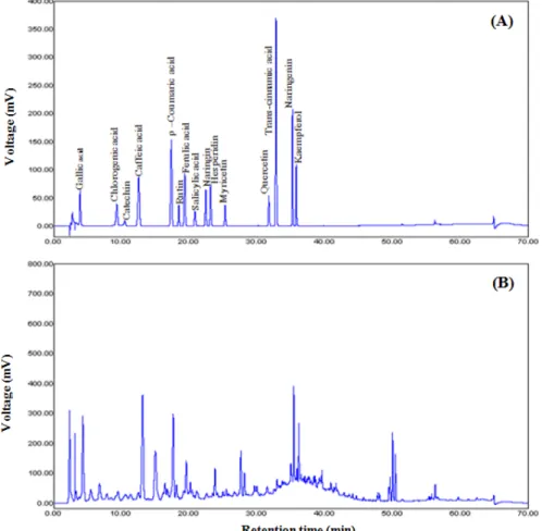 Fig. 2. The chromatograms of phenolic  acids on standard mixture (A) and  germi-nated rough rice (B).