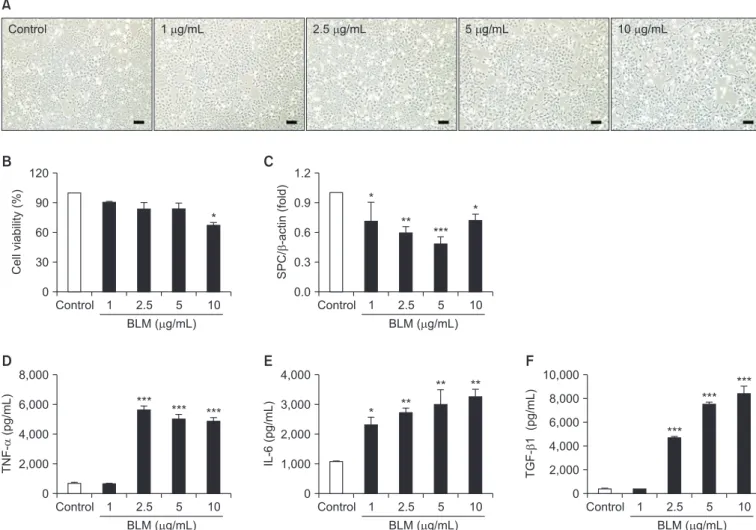 Figure 1. In the MLE-12 cells was evaluated toxicity effects of by bleomycin (BLM). MLE-12 cells were treated BLM (1–10 μg/mL) for 24  hours