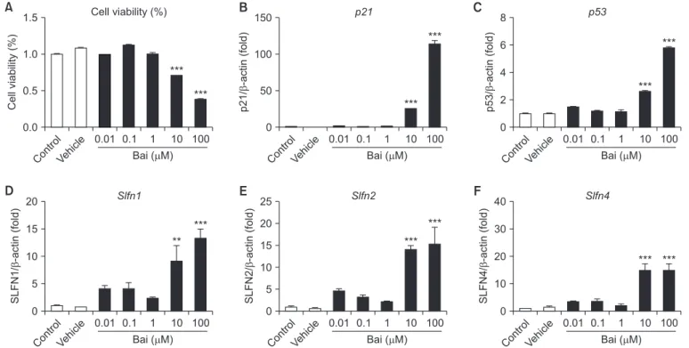 Figure 4. Gene expression associated with cell cycle of bleomycin (BLM) treatment in MLE-12 cells