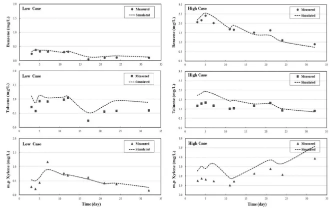 Fig. 4.  Comparison  of  the  simulated  and  measured  concentrations  during  the  course  of  experiment.
