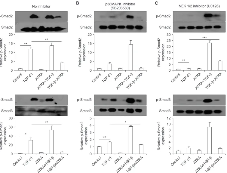 Figure 4. (A‒C) Representative western blot results of A549 epithelial cell Smad expression upon pre-treatment with a p38 MAPK inhibitor  (B) or a MEK inhibitor (C)