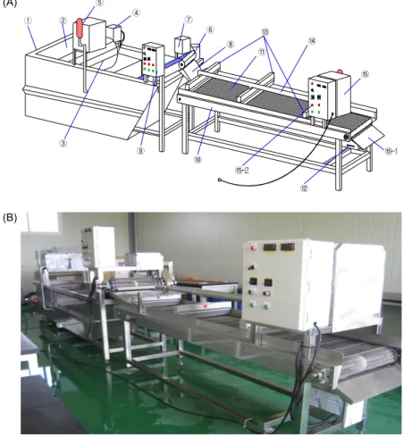 Fig. 1. A schematic view (A) and a photo (B)  of bubble-aqueous chlorine dioxide washing  system