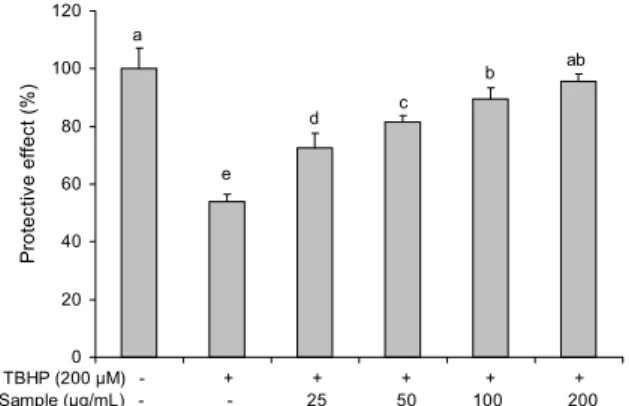 Fig. 1. Cytotoxicity of hot water extract from Cornus walteri Wanger (CWE) in HepG2 cells