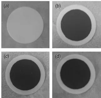 Fig. 2.  Schematic  diagram  of  batch  test  cell  set-up  for  testing  mass  (water  and  salts)  transport  through  CbGM.