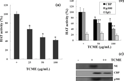 Fig. 1. TCME has a HAT inhibitory activity on  various concentration of TCME. (a) Histone  acety-lase assays were performed with nuclear extracts,  (b) with immunoprecipiteated products (anti-CBP, anti-p300 and IgG) and (c) with radiolabeled  acety-lated h