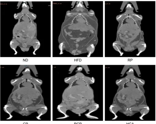 Fig. 3. Abdominal CT image of red  pepper and Chinese pepper extracts. 
