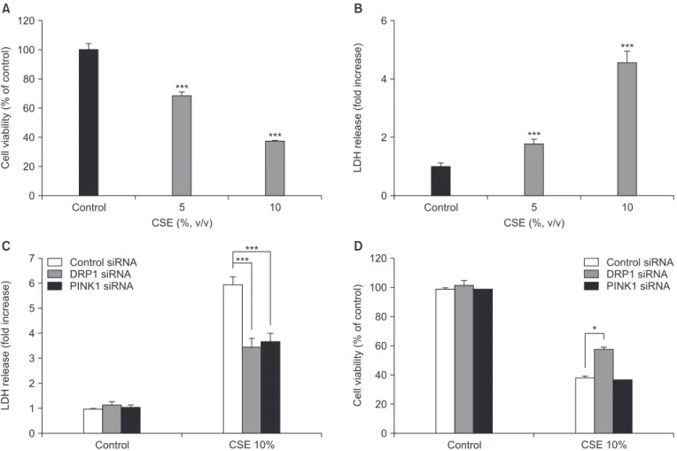 Figure 2. Effects of dynamin-1-like protein (DRP1) and PTEN-induced putative kinase-1 (PINK1) silencing on cigarette smoke extract (CSE)–