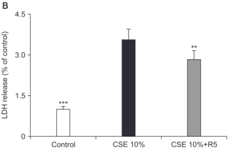 Figure 4. Effects of roflumilast on apoptotic cell death in cigarette  smoke extract (CSE)–induced Beas-2B epithelial cells
