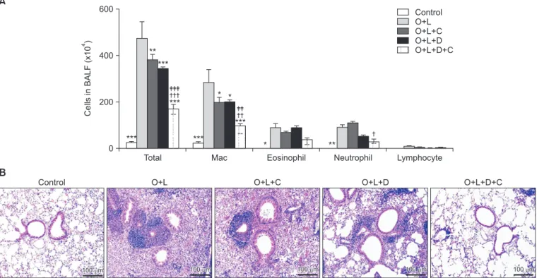 Figure 3. Combination therapy of macrolide and corticosteroid inhibited lung inflammation in murine model of neutrophilic asthma