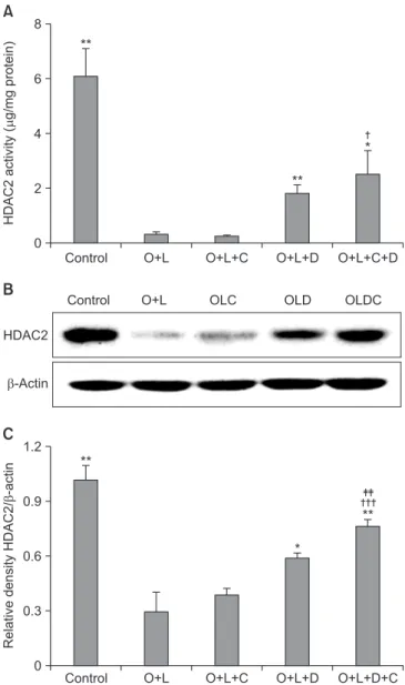 Figure 5. Macrolide has potent effects of recovering HDAC2 activ- activ-ity with corticosteroid
