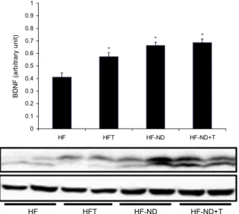 Fig. 6. Changes of hypothalamus leptin receptor mRNA ex- ex-pression after 8 weeks exercise training and/or restricted diet in the groups