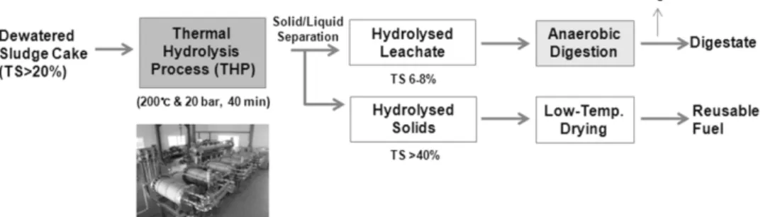 Fig. 1.   Process  schematic  diagram  for  treatment  of  leachate  solubilized  from  thermal  hydrolysis.이 20%  이상인 탈수케이크에도 적용이 가능하며,  대부분 150~200℃, 7~10 bar조건에서 30분 이상 처리 시 슬러지 플럭이  파괴되어  용존화  되고,  세포내의  결합수가  배출되어 점도가 크게 감소하는 등의 효과가 여러 연구에서 보고된 바 있다.5