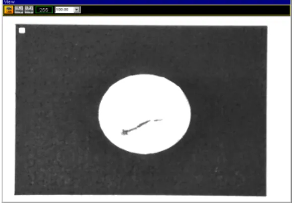 Fig.  10.  Real  image  of  lens  model