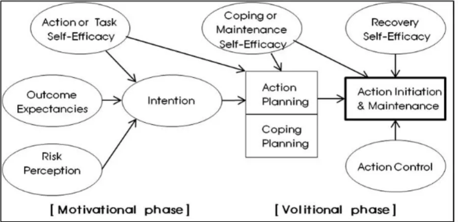 Figure 1-B. The flow diagram of study selection for the meta-analysis.Figure 1-A. Health action process approach model.