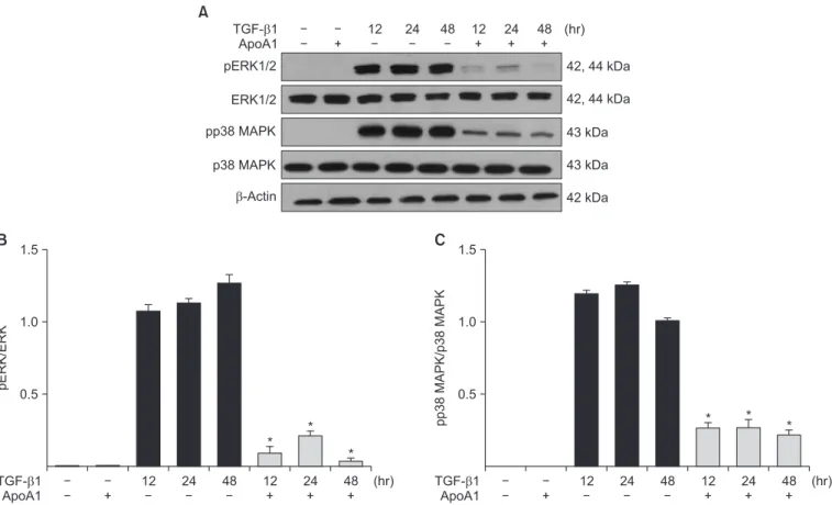 Figure 6. ApoA1 down-regulates the TGF-β1–induced non-Smad signaling pathways. A549 cells were incubated with TGF-β1 (5 ng/mL) with  or without ApoA1 (100 ng/mL) for 48 hours