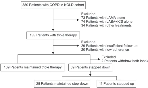 Table 1 shows the baseline characteristics at IT of the triple  and step-down groups. The two groups did not differ  signifi-cantly in terms of age, gender distribution, smoking history,  chronic bronchitis, comorbidty score, MMRC, 6MWD, SGRQ  score, or EI