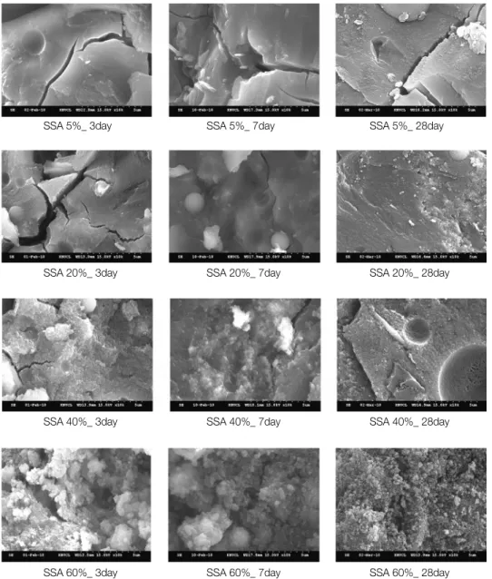 Fig. 3.  SEM  photograph  of  geobond  paste  specimens  with  addition  ratios  of  SSA  and  curing  time