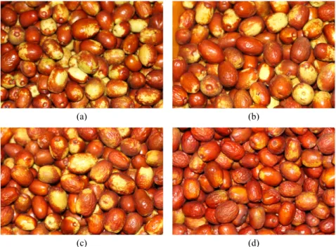 Fig.  1.  Image  changes  of  jujube  stored  in  plastic  box  without  further  packaging  (C-  PL)  for  different  durations