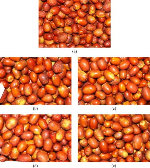 Fig.  2.  Image  changes  of  jujube  stored  for  9  weeks  in  different  conditions