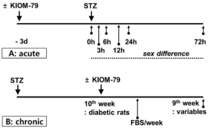 Figure 1. Experimental schema. A. Acute model. KIOM-79 or vehi- vehi-cle was daily pretreated 3 days before streptozotocin (STZ) injection (60 mg/kg, intraperitoneally)