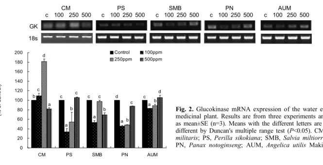 Fig.  2.  Glucokinase  mRNA  expression  of  the  water  extracts  from  medicinal  plant