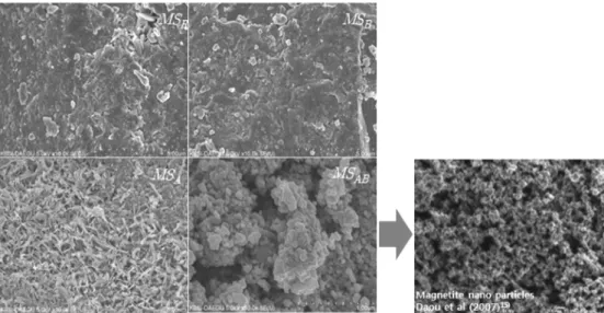 Table 4.  SEM-EDS  results  of  the  iron  oxide  particles  (Pre)treatment 