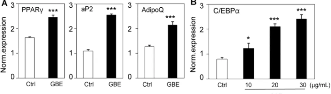 Fig. 4. GBE increases the expression of adipocyte markers in C3H10T1/2 cells. (A) C3H10T1/2 cells were differentiated into adipo- adipo-cytes and treated with 10 μg/mL of GBE for 4 days and mRNA expression of PPARγ, aP2, and AdipoQ (adiponectin) was measur
