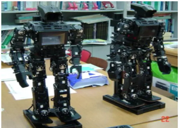 Fig  1.  The  image  of  the  KMHROBO.