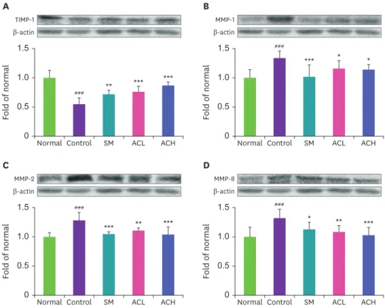Fig. 4. Expressions of TIMP-1 and MMPs protein in liver tissue. The protein expression level of TIMP-1 (A), MMP-1  (B), MMP-2 (C), and MMP-8 (D) were detected by western blotting
