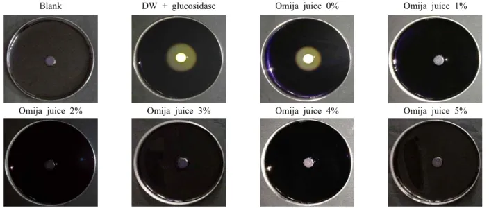 Fig.  3.  Alpha  amylase  inhibition  activity  of  sauce  at  different  concentration  of  omija  juice  concentrate.