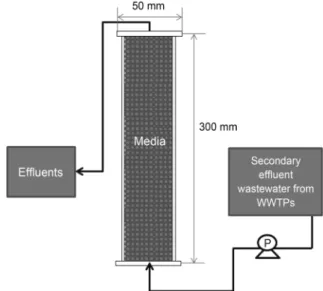 Table 1.  Characteristics  of  the  sand
