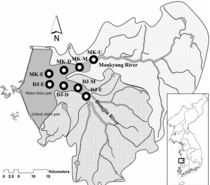 Fig. 1.  Map  of  study  area  and  the  location  installed  the  sediment  traps.천에 대한 수질관리가 선행되어야 한다.7)  동진강의 경우에는  동진강  본류에  직접적으로 유입되는  정읍천에  비해  원평천과 고부천의 수질이 좋지 않기 때문에 이들 지천에 대한 관심과 대책이 요구된다.9) 1995년부터 2004년까지 만경강과 동진강의 수질 변화를 분석한 결과,  유역 내 하수종말처리장의