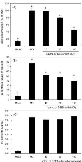 Fig. 3. Effects of SBEA on 3T3-L1 adipogenesis and lipolysis.