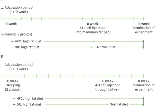 Fig. 1. Experimental study design. After 1 week of adaptation, 8-week-old Balb/c mice were fed a high-fat diet for  8 weeks, and then 4T1 mouse mammary tumor cells were transplanted into their mammary fat pads (1 × 10 4 ) (A)  or injected into tail vein (5