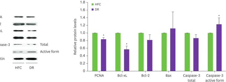 Fig. 3. Effect of DR on tumor cell proliferation and apoptosis using primary tumor tissues