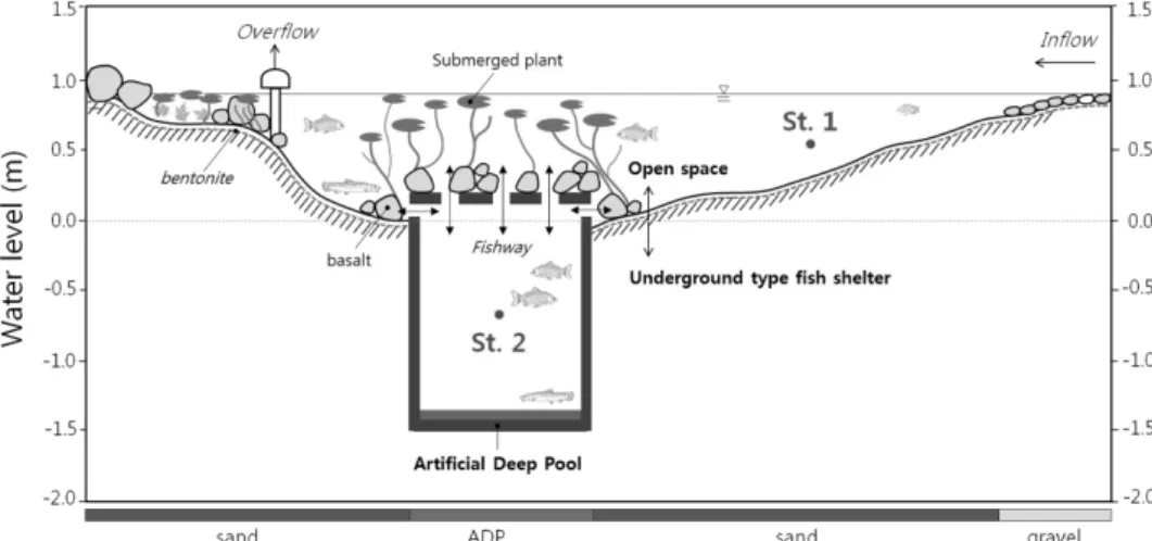 Fig. 1.  Conceptual  view  of  the  study  site.  Y-axis  is  water  level  and  x-axis  show  non-scale