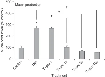 Figure 1. Effect of prunetin on tumor necrosis factor-α (TNF-α)- (TNF-α)-induced MUC5AC mucin production