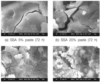 Fig. 5.  Photograph  of  paste  speciemens  after  curing  1  day~3  days. 