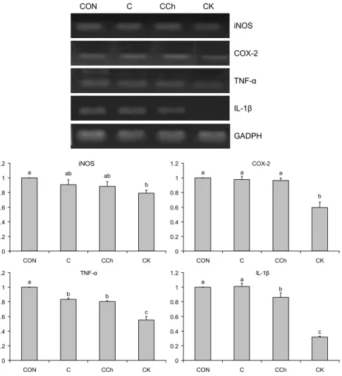 Fig. 2. Effects of cabbage and cabbage- cabbage-mixed juices (2 mg/mL) on mRNA  ex-pressions of iNOS, COX-2, TNF-α and IL-1β in AGS human gastric cancer cells.