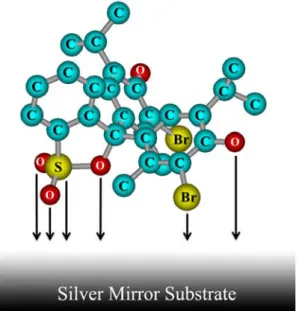 Fig.  5.  Plausible  adsorption  orientation  of  bromothymol  blue                      onto  the  silver  mirror  surface