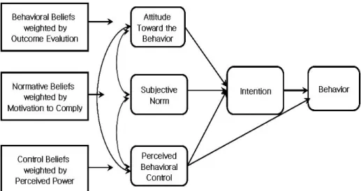 Figure 1. Beliefs as the informational foundation of intentions and behavior (Hanson, 1997).