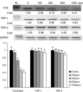 Fig. 8. Effect of soybean suspension with mechanical macer- macer-ation on tyrosinase, TRP-1, TRP-2 mRNA expression in B16BL6 cells