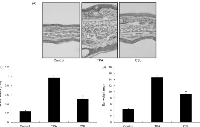 Fig. 1. Inhibitory effect of Caesalpinia sappan L. (CSL) extracts on TPA-induced ear edema