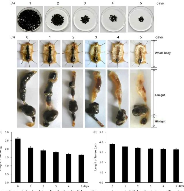 Fig. 3. Surveying variation by dates after fasting for 5 days. (A) excrement amount of P